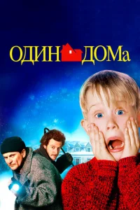 Один дома - главный постер