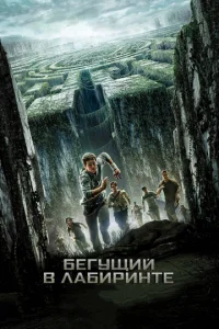 Бегущий в лабиринте - главный постер